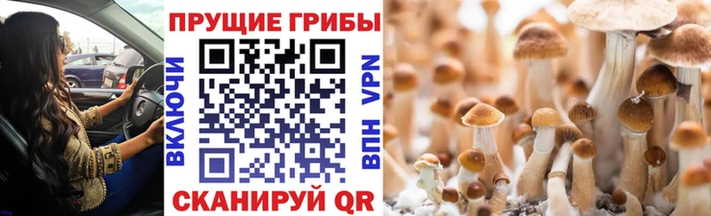 даркнет какой сайт  Гулькевичи  Галлюциногенные грибы мухоморы  как найти наркотики 