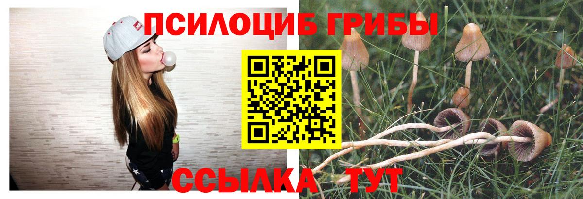 Галлюциногенные грибы ЛСД  Псилоцибиновые грибы мухоморы  Вход с VPN  Гулькевичи 